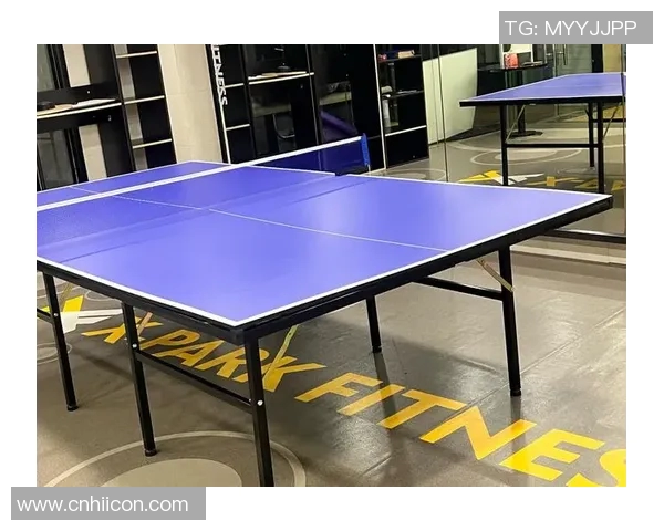 李磊专访揭秘乒乓球成功秘诀与训练背后的故事