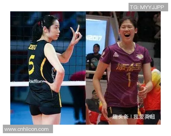 英超排球焦点杭州排球队的战术配合与团队协作分析