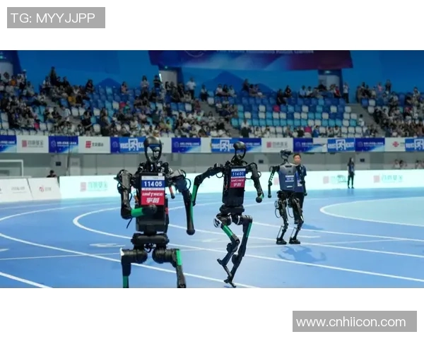 武汉极限运动队：聚焦个人能力与团队协作的极限挑战之旅