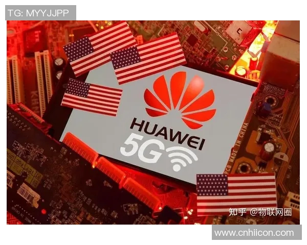 体育实时数据武汉篮球队反击之路解析：从困境到崛起的精彩旅程